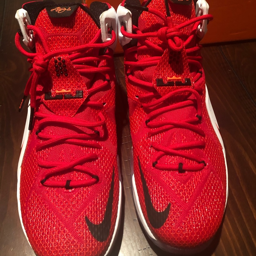 Lebron 12 “Heart of the Lion” Edition